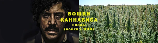 ПСИЛОЦИБИНОВЫЕ ГРИБЫ Володарск