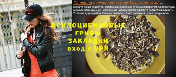 соль ск Саяногорск