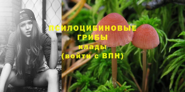 ПСИЛОЦИБИНОВЫЕ ГРИБЫ Володарск
