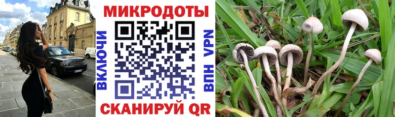 Псилоцибиновые грибы прущие грибы  наркотики  Зея 