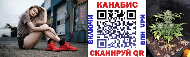 Шишки марихуана Bruce Banner  закладки  Зея 